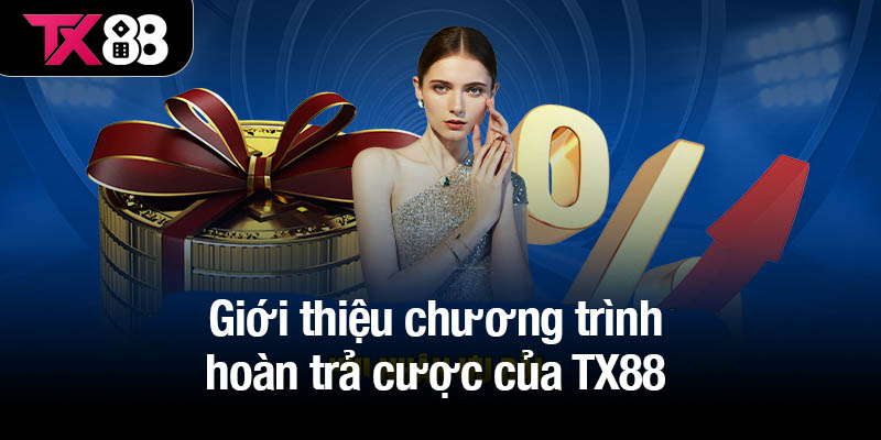 Giới thiệu chương trình hoàn trả cược của TX88